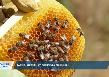 CANLAR DİVANI-İBRAHİM KARAKAYA 29.02.2020