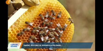 CANLAR DİVANI-İBRAHİM KARAKAYA 29.02.2020