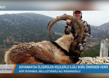 DOGA VEYAŞAM – NEVİNYILDIZ 28.02.2020