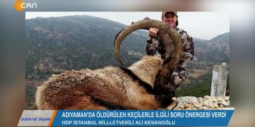 DOGA VEYAŞAM – NEVİNYILDIZ 28.02.2020