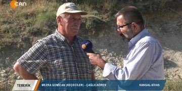 200 – 2020-03-20 – TEBERİK – MEZRA GOMİCAN – KEÇECİLER ÇAGUCAÖREN KANGAL SİVAS 19.07.2019