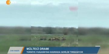 CANANA HABER – SERPİL ÇELİK MERT 06.03.2020