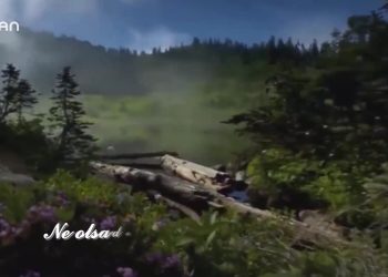 AŞIK DAİMİ- Ne ağlarsın benim zülfü siyahım