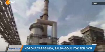 DOGA VE YAŞAM – NEVİN YILDIZ – 17.04.2020