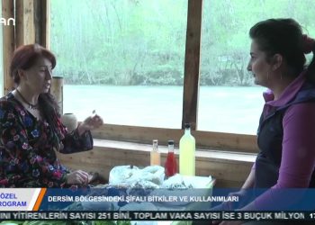 ÖZEL PROGRAM – DERSİM BÖLGESİNDEKİŞİFAU BİTKİLER VE KULLANIMLARI