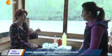 ÖZEL PROGRAM – DERSİM BÖLGESİNDEKİŞİFAU BİTKİLER VE KULLANIMLARI