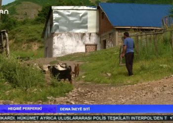 HEQIBE PERPERIKİ – DEWA HENİYE SITİ – 30.06.2020