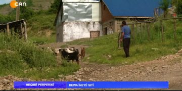 HEQIBE PERPERIKİ – DEWA HENİYE SITİ – 30.06.2020