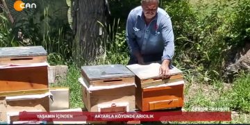 YAŞAMINİÇİNDEN – 03.06.2020