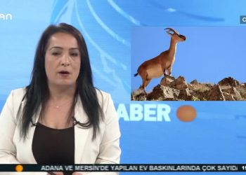 ANA HABER BÜLTENİ- 11.07.2020