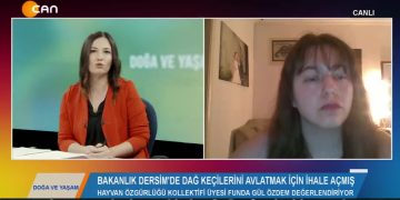 DOGA VEYAŞAM – NEVİNYILDIZ – 10.07.2020
