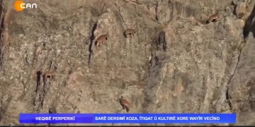 HEQIBE PERPERIKİ- 21.07.2020