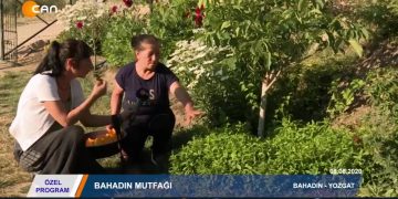 ÖZEL PROGRAM – BAHADIN MUTFAGI- 1.BÖLÜM – BAHADIN_YOZGAT – 14.08.2020