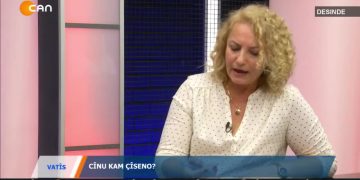 VATİS – VELİHAYDAR GÜLEÇVE HATİCE KORKMAZ, ZON U KULTURİSERO QESEYKENE – 27.08.2020