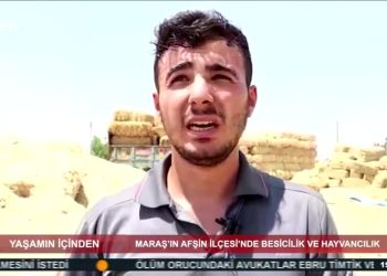YAŞAMIN İÇİNDEN – Maraş’ın Afşin ilçesinde BESİCİLİK VE HAYVANCILIK – 04.08.2020