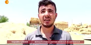 YAŞAMIN İÇİNDEN – Maraş’ın Afşin ilçesinde BESİCİLİK VE HAYVANCILIK – 04.08.2020