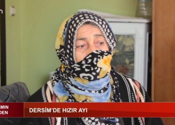 Yaşamın İçinden