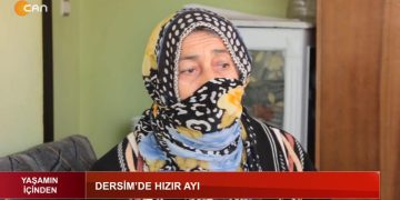 Yaşamın İçinden