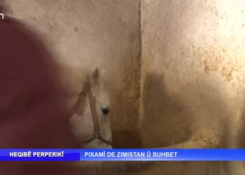 Pıxamî de Zımıstan û Suhbet – Nuray Atmaca’nın sunduğu Heqıbê Perperikî sizlerle… 21.02.2022