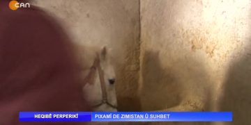 Pıxamî de Zımıstan û Suhbet – Nuray Atmaca’nın sunduğu Heqıbê Perperikî sizlerle… 21.02.2022