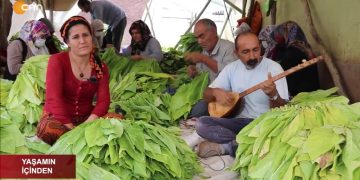 Yaşamın İçinden – Tütün işçileri yaşadıkları zorlukları anlatıyor – Sarıkaya Köyü / Adıyaman
