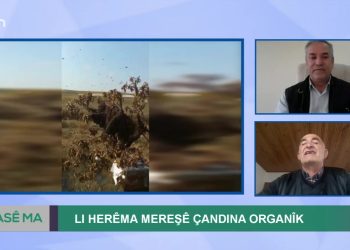 Lı Herme Mereşe Çandıne Organik – Ahmet Güden’in Sunduğu Hase ma’nın Bu Günkü Konukları Ayşe Fehimli Ve Haydar Şal Sizlerle….