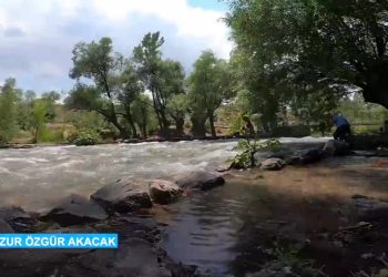 Munzur Özgür Akacak