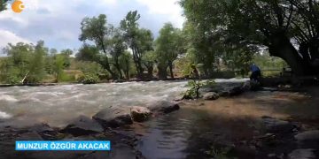 Munzur Özgür Akacak