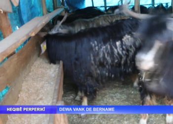 Dewa Vank’de Bername – Nuray Atmaca’nın sunduğu Heqıbê Perperikî programı sizlerle…- 04.04.2022