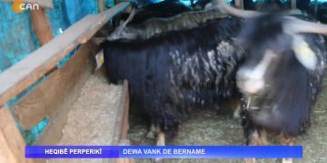 Dewa Vank’de Bername – Nuray Atmaca’nın sunduğu Heqıbê Perperikî programı sizlerle…- 04.04.2022