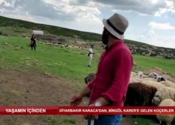 Yaşamın İçinden – Diyarbakır Karaca’dan, Bingöl Karer’e gelen Koçerler