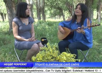 Heqîbê Perperıkî – Îtîqatê Elewîyan De Cayê Cınîye