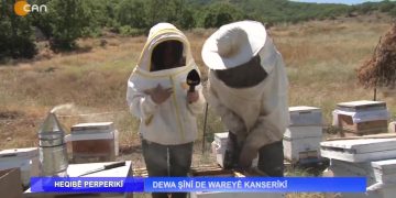 Heqıbê Perperıkî – Dewa Şînî De Wareyê Kanserîkî