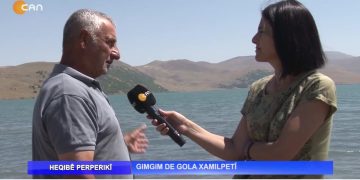 Heqıbê Perperıkî – Gımgım De Gola Xamılpetî
