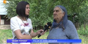 Pulur De Dewa Ortanîge – Heqıbê Perperıkî