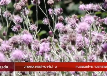 Jiyara Heniyo Pili 2 – Ali Şeker’in sunumuyla Teberik Can Tv’de PLEMORİYE /DERSİM