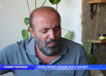 Problemanê Dêrsımî Ser O Sohbet