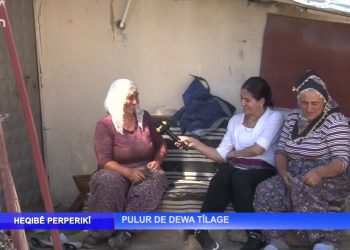 Pulur De Dewa Tîlage