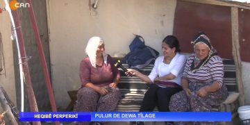 Pulur De Dewa Tîlage