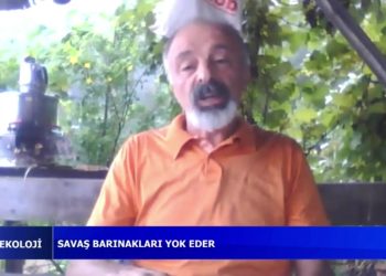 Savaş Kapitalizmin Sömürü Araçlarını Yeniler. Cemalettin Küçük ile Politik Ekoloji..