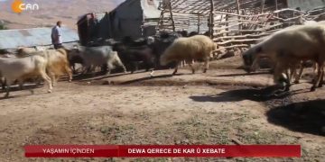 Yaşamın İçinden – Dewa Qerece De Kar û Xebate