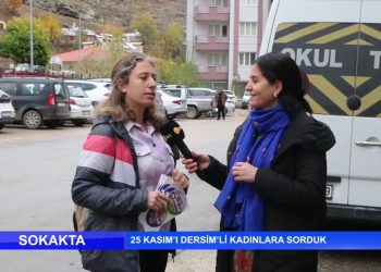 25 Kasım’ı Dersim’li Kadınlara Sorduk..