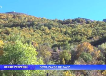 Heqıbê Perperıkî – Dewa Zaxge De Payiz
