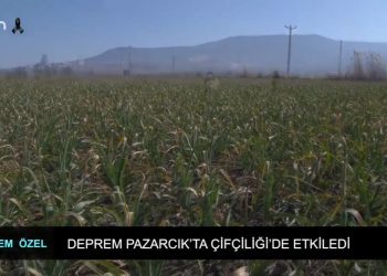 Deprem Özel – Deprem Pazarcık’da Çiftçiliği’de etkiledi