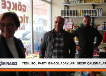 Yeşil Sol Parti Bingöl adayları seçim çalışmaları