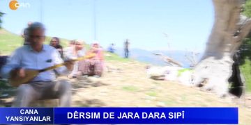 Dêrsim De Jara Dara Sıpî
