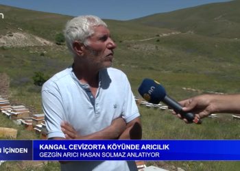Kangal Cevizorta köyünde arıcılık. -Gezgin arıcı Hasan Solmaz anlatıyor.