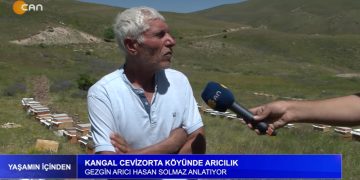 Kangal Cevizorta köyünde arıcılık. -Gezgin arıcı Hasan Solmaz anlatıyor.