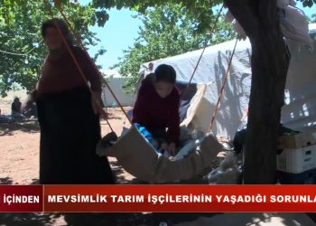 Mevsimlik Tarım İşçilerinin Yaşadığı Sorunlar
