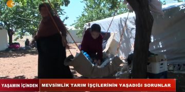 Mevsimlik Tarım İşçilerinin Yaşadığı Sorunlar